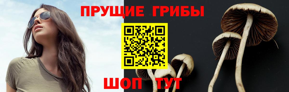 даркнет сайт  Галлюциногенные грибы Psilocybe  Вход с VPN  Псилоцибиновые грибы MAGIC MUSHROOMS  Нижний Тагил 